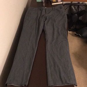 Dress pants